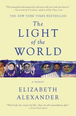 book cover for The Light of the World