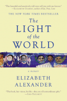 book cover for The Light of the World