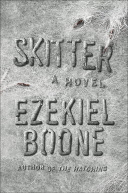 book cover for Skitter