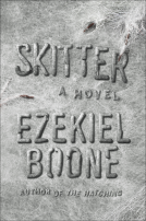 book cover for Skitter