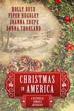 book cover for Christmas in America