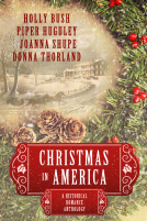 book cover for Christmas in America