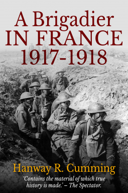 book cover for A Brigadier in France