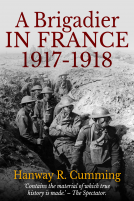 book cover for A Brigadier in France