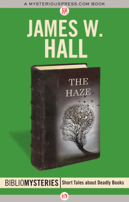 book cover for The Haze