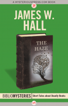 book cover for The Haze