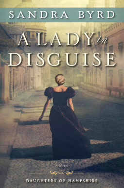 book cover for A Lady in Disguise