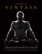 book cover for The Art of Vinyasa