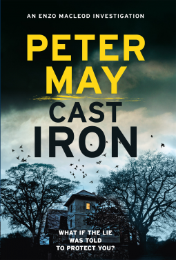 book cover for Cast Iron