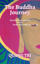 book cover for The Buddha Journey: Questions and Answers for the Awakening Mind