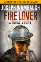 book cover for Fire Lover