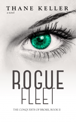 book cover for Rogue Fleet