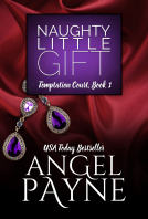 book cover for Naughty Little Gift