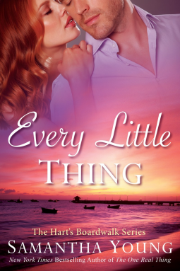 book cover for Every Little Thing
