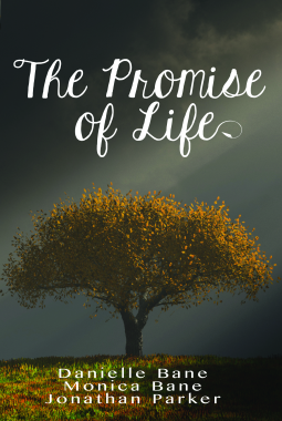 book cover for The Promise of Life
