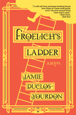 book cover for Froelich's Ladder