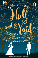 book cover for Null and Void
