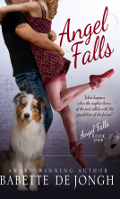 book cover for Angel Falls