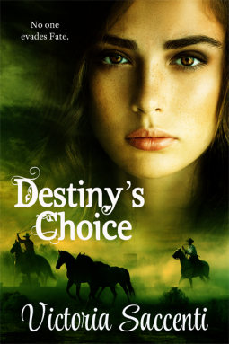 book cover for Destiny’s Choice