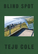 book cover for Blind Spot
