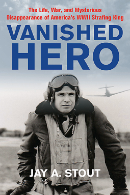 book cover for VANISHED HERO