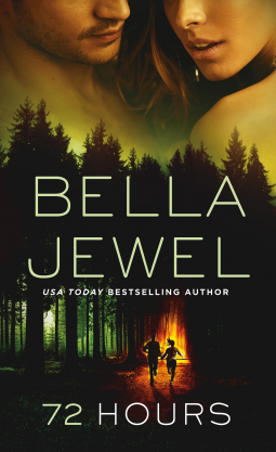 book cover for 72 Hours