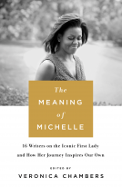 book cover for The Meaning of Michelle
