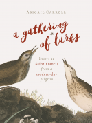 book cover for A Gathering of Larks