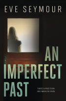 book cover for An Imperfect Past