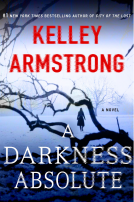 book cover for A Darkness Absolute