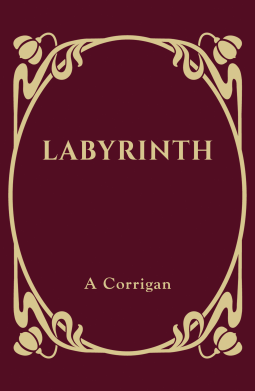 book cover for Labyrinth