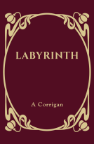 book cover for Labyrinth