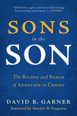 book cover for Sons in the Son