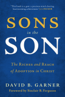 book cover for Sons in the Son