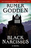 book cover for Black Narcissus