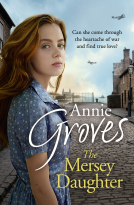 book cover for The Mersey Daughter