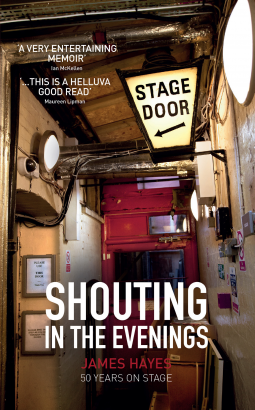 book cover for Shouting in the Evenings