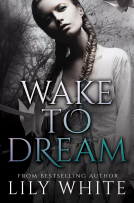 book cover for Wake to Dream