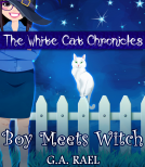 book cover for Boy Meets Witch