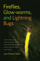 book cover for Fireflies, Glow-worms, and Lightning Bugs
