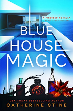 book cover for Blue House Magic