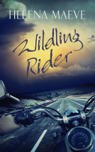 book cover for Wildling Rider