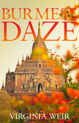 book cover for Burmese Daze